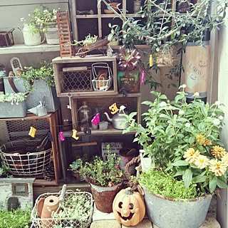 ベッド周り/ハロウィン/朝の1枚/いただきものいっぱいです("Ü")/ブログやってます(*Ü*)...などのインテリア実例 - 2015-10-01 08:04:59