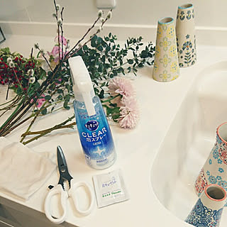 切花栄養剤のインテリア実例 Roomclip ルームクリップ