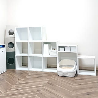 カラーボックス キャットタワーのインテリア実例 Roomclip ルームクリップ カラーボックス キャットタワーのインテリア実例 Roomclip ルームクリップ
