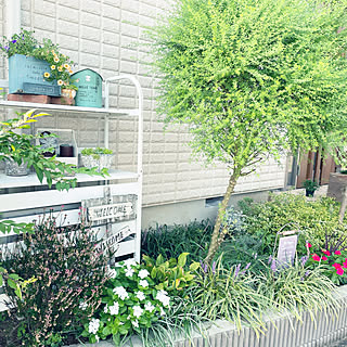 秋の花壇のインテリア実例 Roomclip ルームクリップ