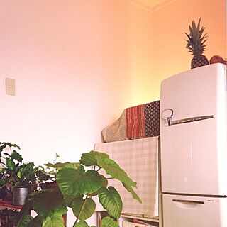 キッチン/WILL/冷蔵庫/間接照明/植物...などのインテリア実例 - 2013-08-18 12:59:27