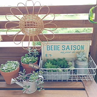 セリア Seria 革紐ネックレスのまとめページ Roomclip ルームクリップ