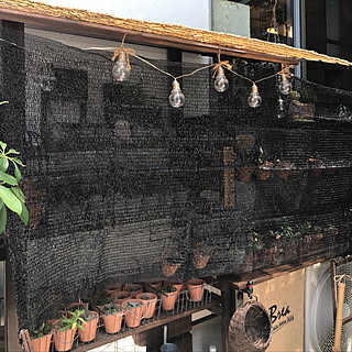 ダイソー 遮光ネットのインテリア実例 Roomclip ルームクリップ