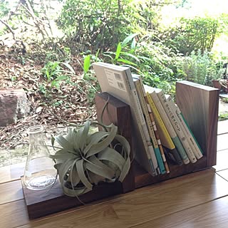 棚/エアプランツ/キセログラフィカのインテリア実例 - 2013-08-18 09:29:37