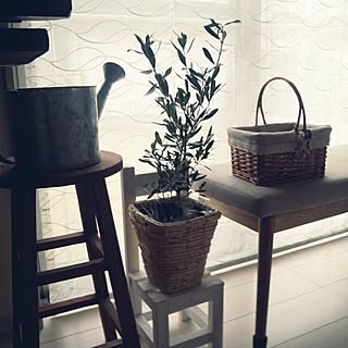 リビング/スツール/3COINS/たくさんのいいねに感謝します★☆/植物のある暮らし...などのインテリア実例 - 2014-11-25 09:31:51