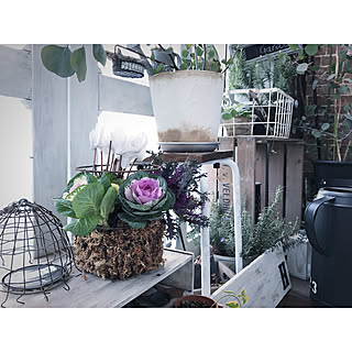 玄関/入り口/IKEA/ベランダガーデン/寄せ植え/マンションインテリア...などのインテリア実例 - 2017-12-17 07:40:44