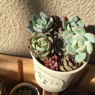 棚/IG⇨hanahinasisters/NO GREEN NO LIFE/DIY棚/団地...などのインテリア実例 - 2016-11-12 23:10:52