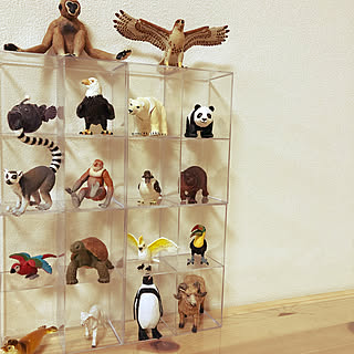 100均 フィギュア収納のアイデア おしゃれなインテリア実例 Roomclip ルームクリップ