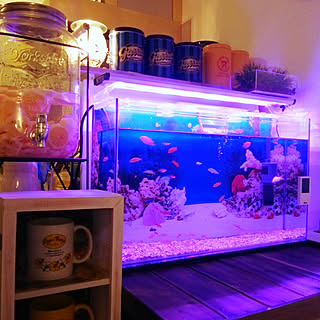 無印良品 Ledテープライトのインテリア実例 Roomclip ルームクリップ