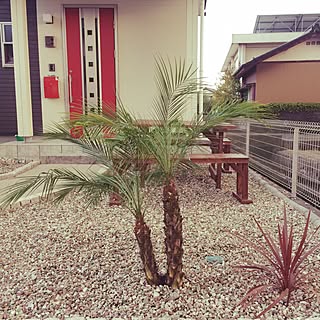 フェニックスロベレニー ロベのインテリア実例 Roomclip ルームクリップ