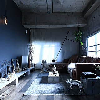 部屋全体/アラジンストーブ/流木/盆栽棚/一人暮らし...などのインテリア実例 - 2019-01-14 10:47:25