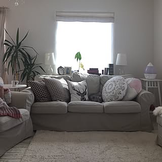 リビング/模様替え/ミモザ/アボカド水栽培/洋書風ボックス...などのインテリア実例 - 2017-03-08 11:45:43