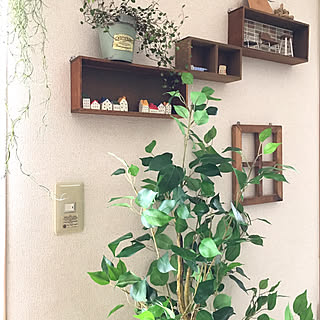 フィカス/フェイクグリーン/ニトリ2019フェイクグリーンモニター/ニトリ/狭い我が家...などのインテリア実例 - 2019-04-29 17:15:35