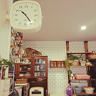 ルクルーゼ スヌーピーのインテリア実例 Roomclip ルームクリップ