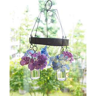 紫陽花 切り花のインテリア実例 Roomclip ルームクリップ 紫陽花 切り花のインテリア実例 Roomclip ルームクリップ