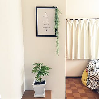 花みどりマーケット 楽天市場店 観葉植物のおすすめ家具 インテリア 全43件 Roomclip ルームクリップ 花みどりマーケット 楽天市場店 観葉植物のおすすめ家具 インテリア 全43件 Roomclip ルームクリップ