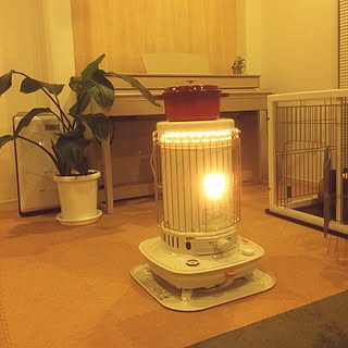 リビング/観葉植物/鍋/間接照明/ピアノ...などのインテリア実例 - 2016-01-18 19:46:54