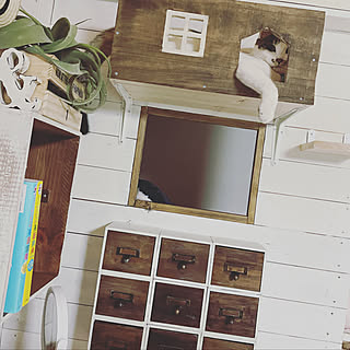 100均 猫ハウスのインテリア実例 Roomclip ルームクリップ