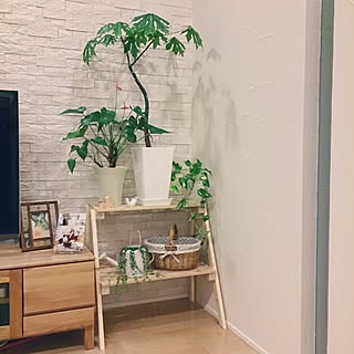 観葉植物 テレビ横のインテリア実例 Roomclip ルームクリップ