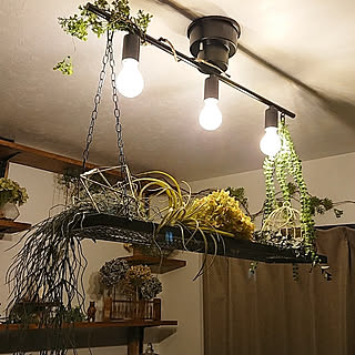 DIY/インダストリアル/建て売り一戸建て/いなざうるす屋さん/一軒家...などのインテリア実例 - 2018-04-01 23:43:44