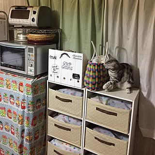 キッチン/カラーボックス収納/ウォールステッカー/セリア/お気に入りのかご...などのインテリア実例 - 2017-04-25 20:10:35