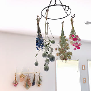 壁/天井/ダイソーハンギングサークルフック/ドライフラワー/シンプルナチュラル/ナチュラルインテリア...などのインテリア実例 - 2018-08-18 09:19:11