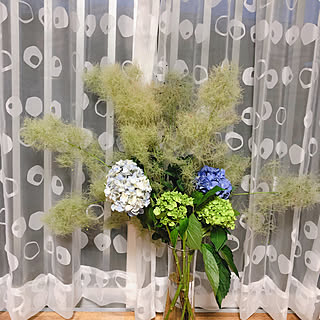 ニトリネットのおすすめ花瓶 フラワーベース 全18件 Roomclipショッピング