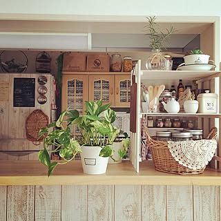 キッチン/DIY/セリア/セリアリメイク/板壁風...などのインテリア実例 - 2015-01-11 22:09:56