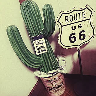 リビング/セリア/サボテン/ダルトンのインテリア実例 - 2017-11-18 00:15:19