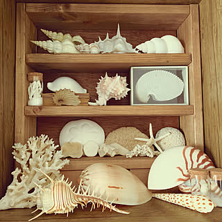 ヴンダーカンマーのインテリア実例 Roomclip ルームクリップ