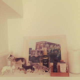 棚 オオカミのインテリア実例 Roomclip ルームクリップ