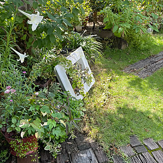 額縁プランターのインテリア実例 Roomclip ルームクリップ