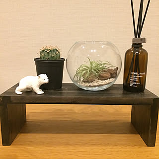 NO GREEN NO LIFE/チランジア/観葉植物のある暮らし/2階リビング/観葉植物...などのインテリア実例 - 2020-01-22 20:44:11