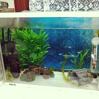 プレコのインテリア実例 Roomclip ルームクリップ