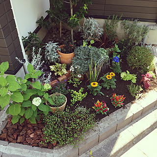 バリー ショップ おんどり 花壇 の 日除け 帰する 導入する ギャングスター