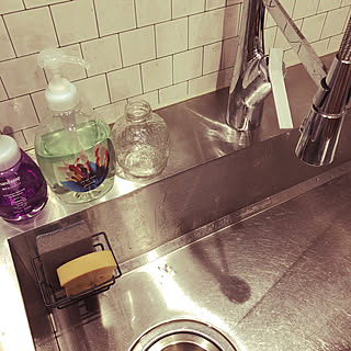 カインズ/セリア/スポンジ置き場/ステンレスキッチン/グラッド45...などのインテリア実例 - 2020-01-18 17:50:12