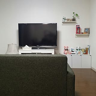 リビング/西海岸風にしたい/西海岸風/モンステラのインテリア実例 - 2015-05-08 01:21:28