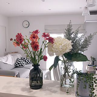 ラナンキュラス 久山植木のインテリア実例 Roomclip ルームクリップ