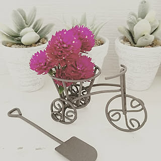 リビング/インスタもよろしく/花のある暮らし/花のある生活/千日紅/千日紅ドライ...などのインテリア実例 - 2018-07-26 13:55:21