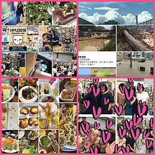 壁/天井/クリーマハンドメイドFès/アトリエROOF/たにく盛り合わせ★/さぼてん&多肉...などのインテリア実例 - 2018-07-09 10:29:25