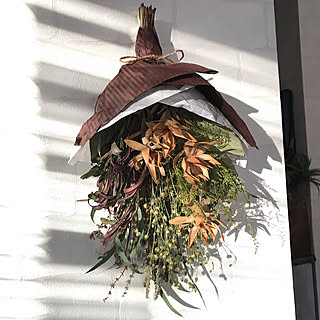 ポップブッシュ プルプレアのインテリア実例 Roomclip ルームクリップ