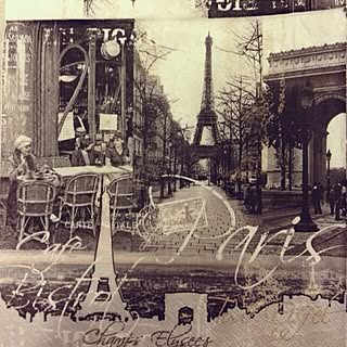 ペーパーナプキン/白黒/バス/トイレのインテリア実例 - 2012-11-08 22:05:38