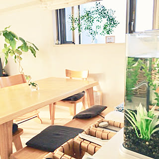 部屋全体/ウンベラータ/NO GREEN NO LIFE/金魚水槽/木目家具が好き...などのインテリア実例 - 2018-05-24 06:35:01