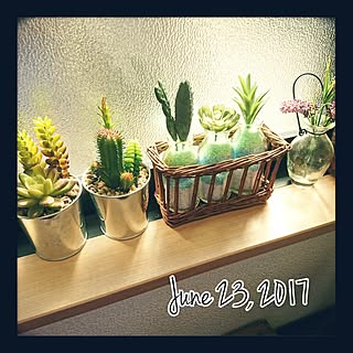 バス/トイレ/DAISO&セリア&雑貨/フェイクグリーン/カラーサンド/びん...などのインテリア実例 - 2017-06-23 07:43:57