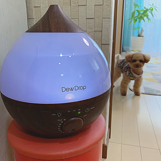 電化製品買いました/ペロップ弥七です/デュードロップ/加湿器/12月8日...などのインテリア実例 - 2019-12-08 11:50:46