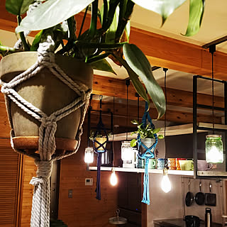 観葉植物 ハンギングラックのインテリア実例 Roomclip ルームクリップ