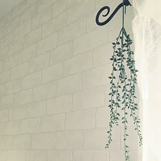 カーテンレール フェイクグリーンのインテリア実例 Roomclip ルームクリップ