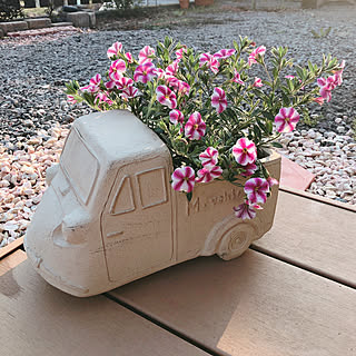 車の鉢のインテリア実例 Roomclip ルームクリップ