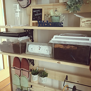 昆虫飼育のインテリア実例 Roomclip ルームクリップ