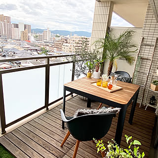 観葉植物 マンションベランダのインテリア実例 Roomclip ルームクリップ 観葉植物 マンションベランダのインテリア実例 Roomclip ルームクリップ